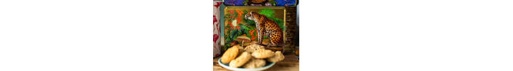 Whimsical Garden Biscuit Selection