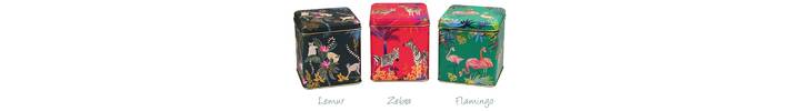 T85 Lemur, Zebra, Flamingo.jpg