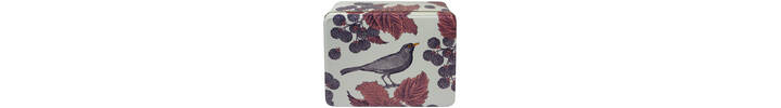 B'Bird &amp; Brambles.jpg