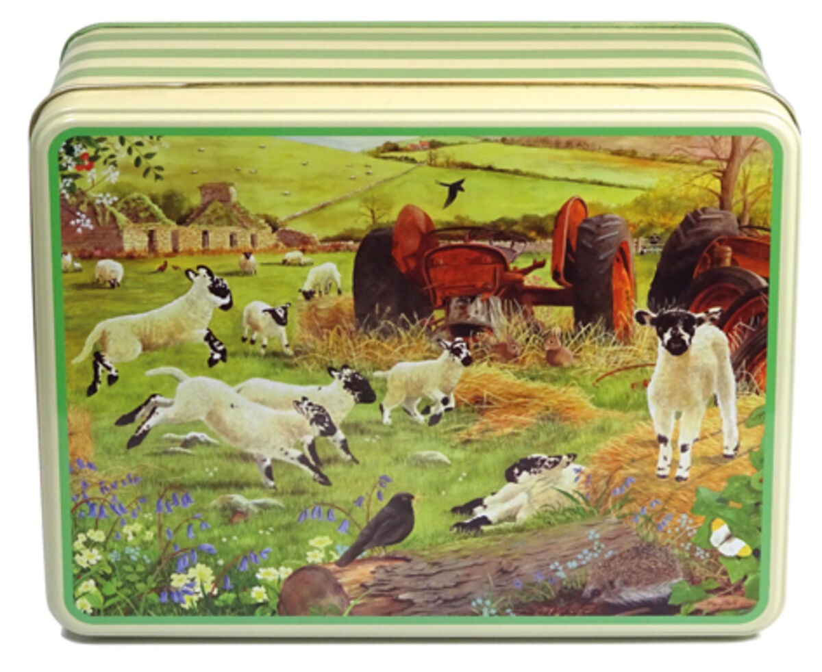 T6 Woolly Jumpers.jpg