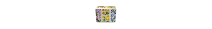 Wild Flowers.png