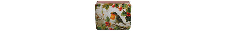 XT1 Robin Rectangle Tin.jpg
