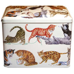 Curious cats - Biscuit Selection